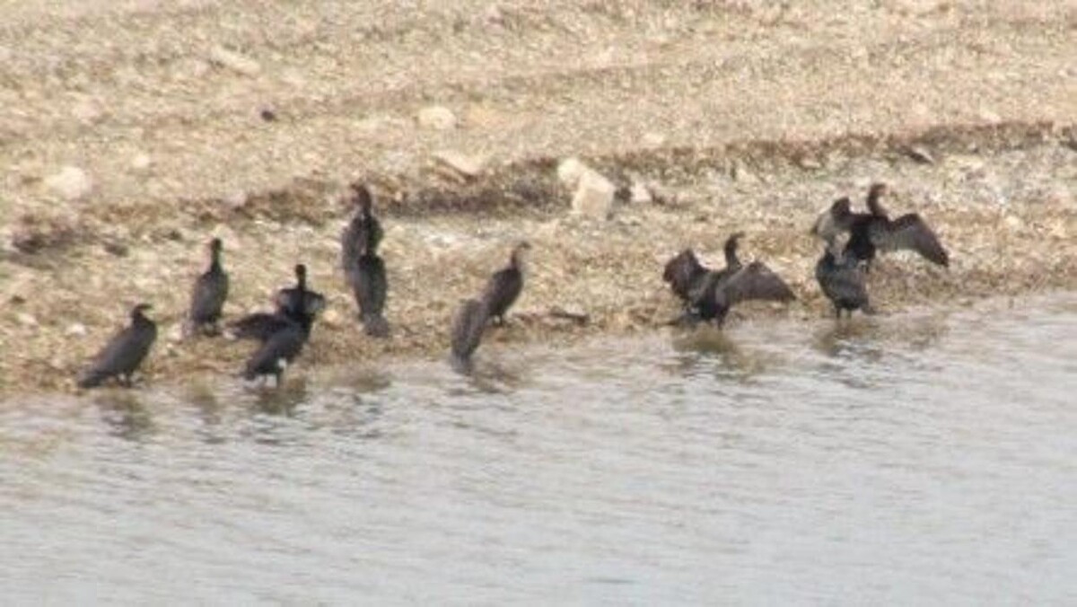 Images Casa Josefina