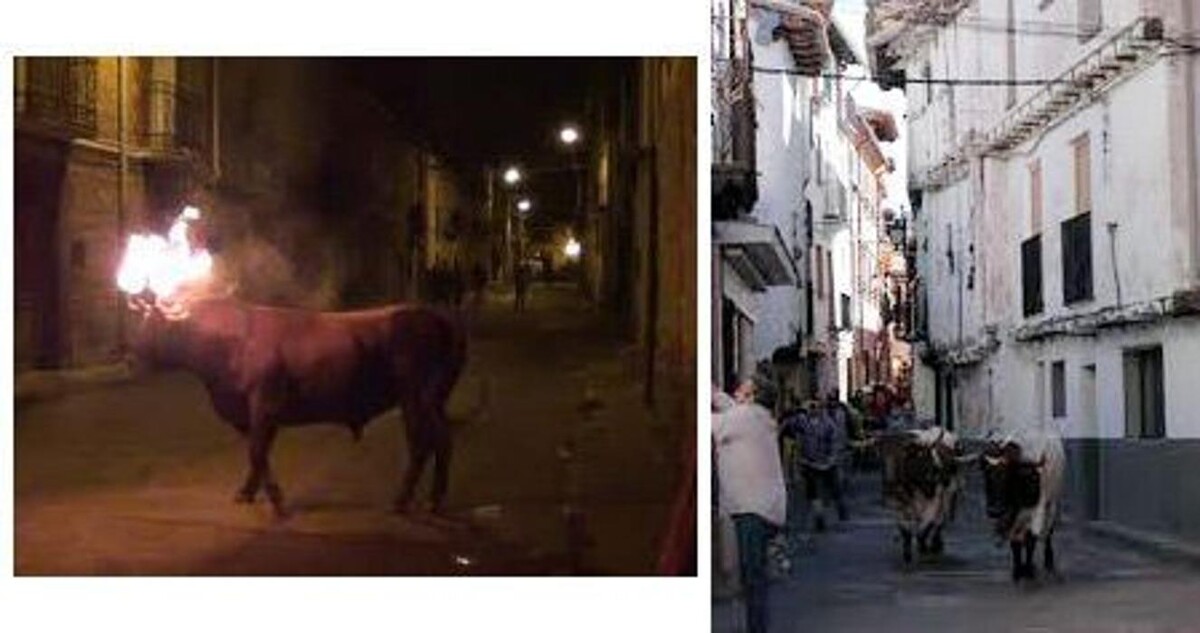 Images Casa Josefina