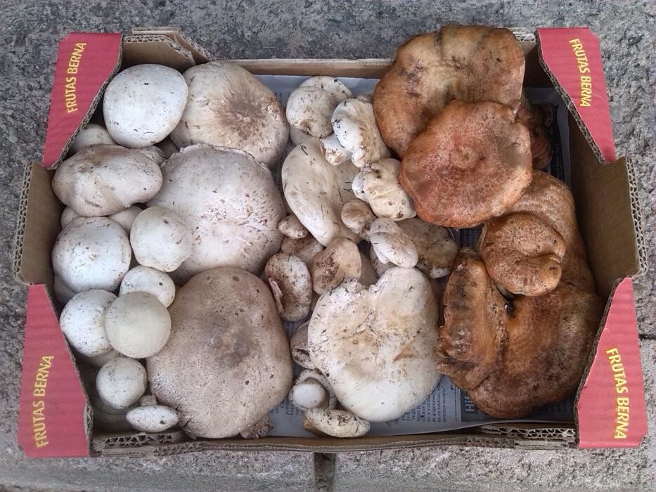 Images Casa Josefina