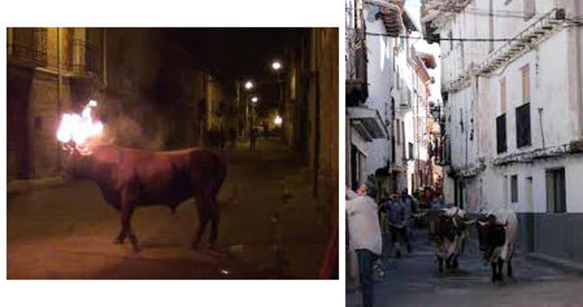 Images Casa Josefina