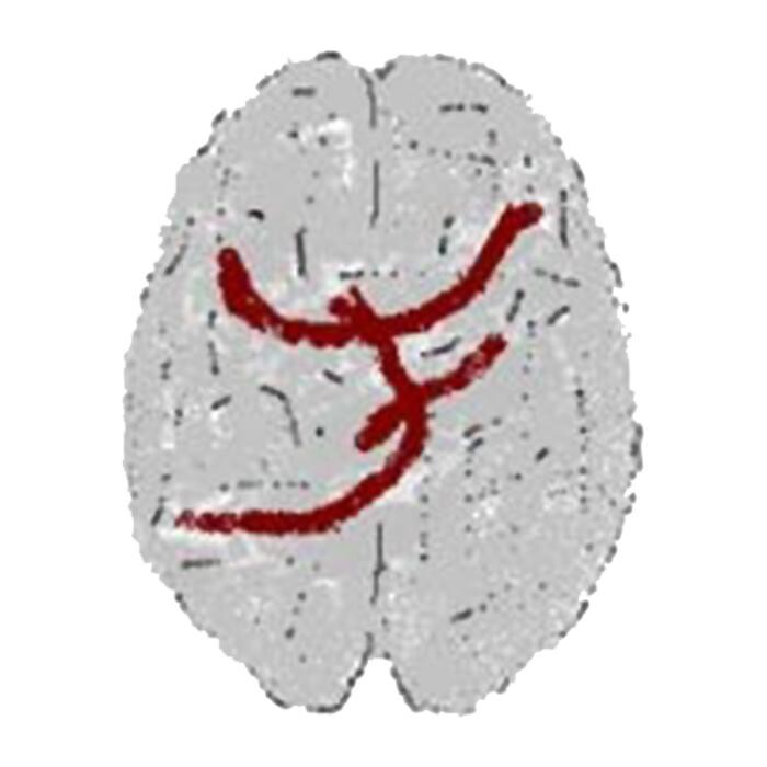 Juan Fernando Pérez Ramírez Logo