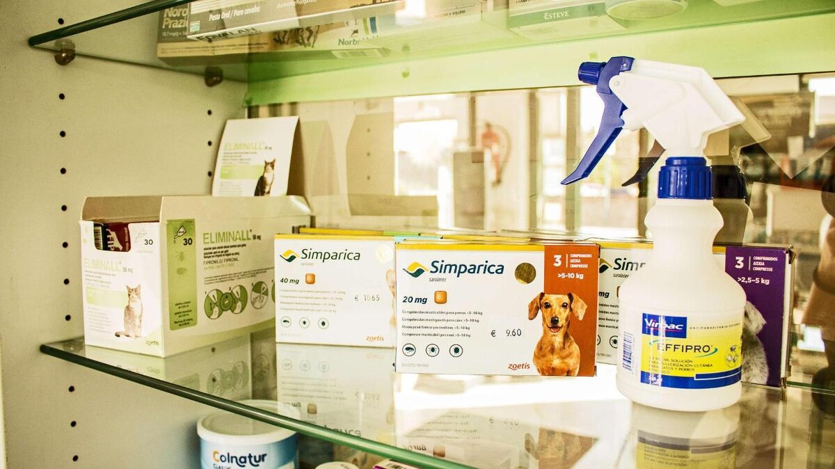 Images Farmacia Pedroso