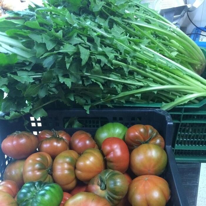 Images Restaurante Bonavista (Club de Campo Elche)