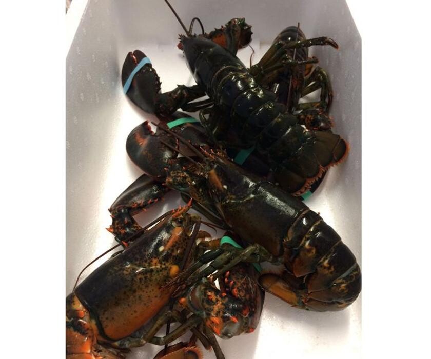 Images Restaurante Bonavista (Club de Campo Elche)