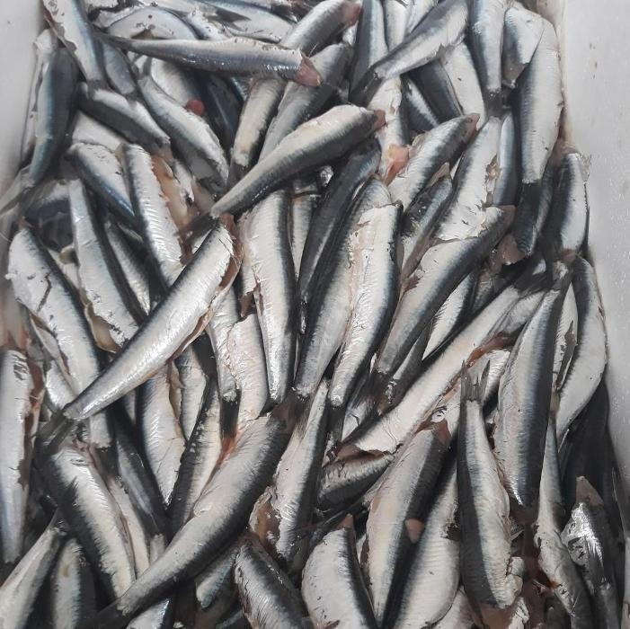 Images Paellas de Castilla