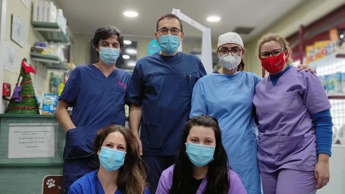 Images Clínica Veterinaria San Antón