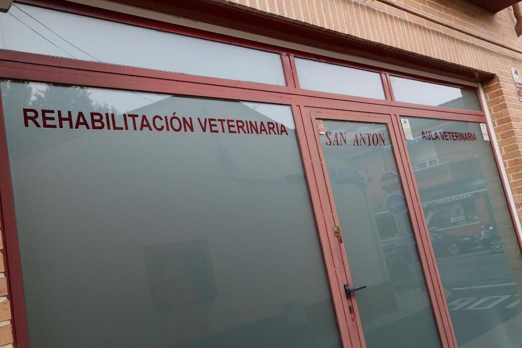 Images Clínica Veterinaria San Antón