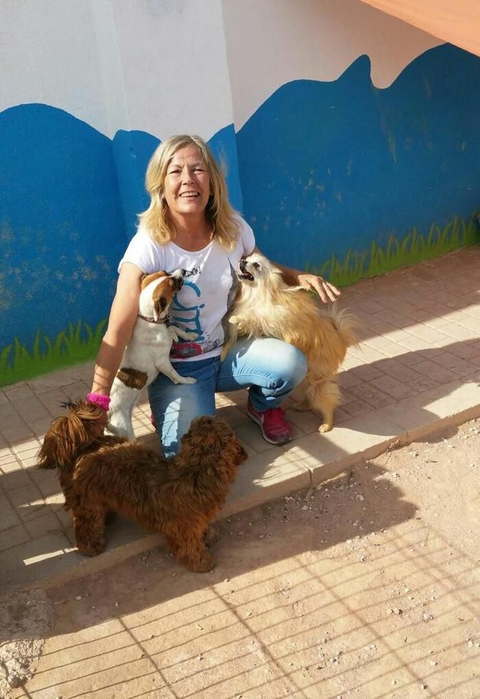 Images Hotel Canino y Felino El Rey de la Casa - cat & dog boarding kennels