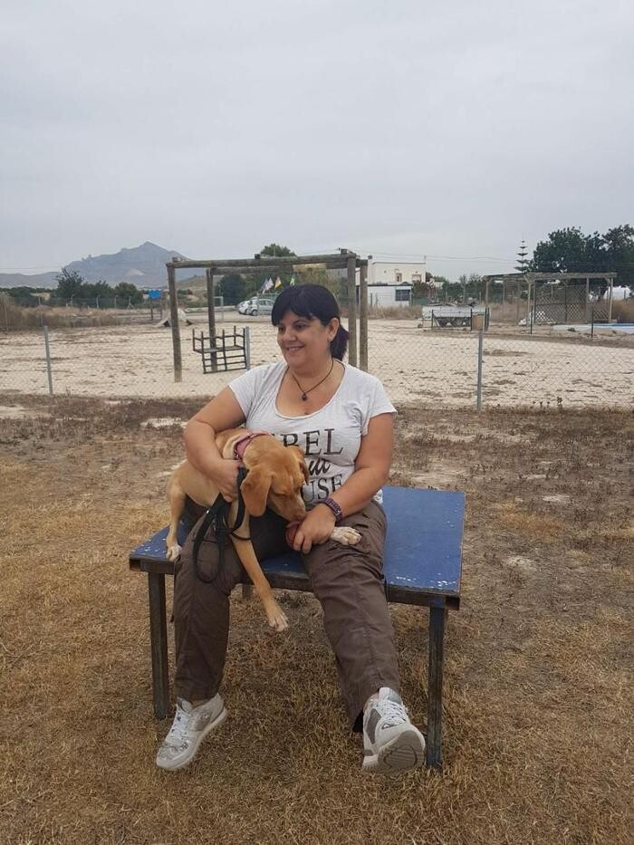 Images Hotel Canino y Felino El Rey de la Casa - cat & dog boarding kennels