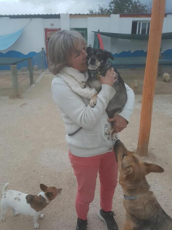 Images Hotel Canino y Felino El Rey de la Casa - cat & dog boarding kennels