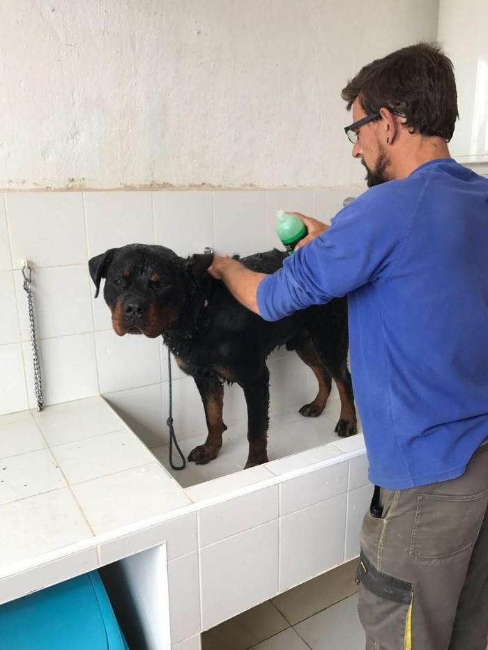 Images Hotel Canino y Felino El Rey de la Casa - cat & dog boarding kennels