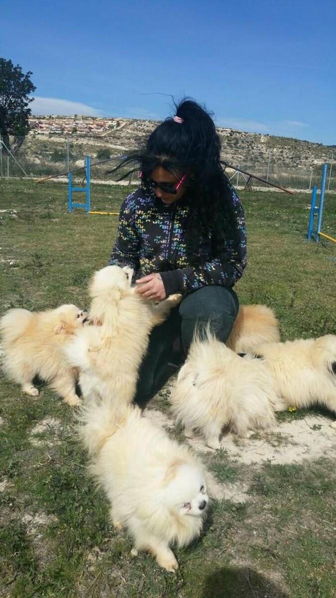 Images Hotel Canino y Felino El Rey de la Casa - cat & dog boarding kennels