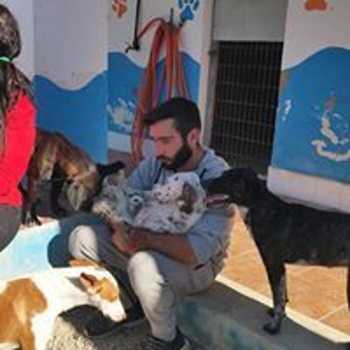 Images Hotel Canino y Felino El Rey de la Casa - cat & dog boarding kennels