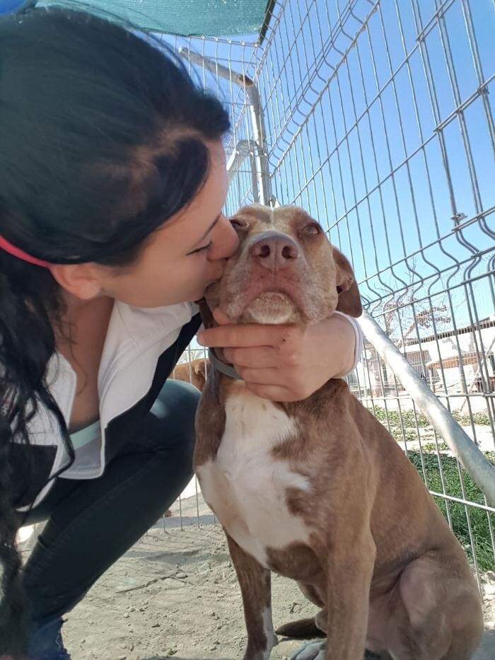 Images Hotel Canino y Felino El Rey de la Casa - cat & dog boarding kennels