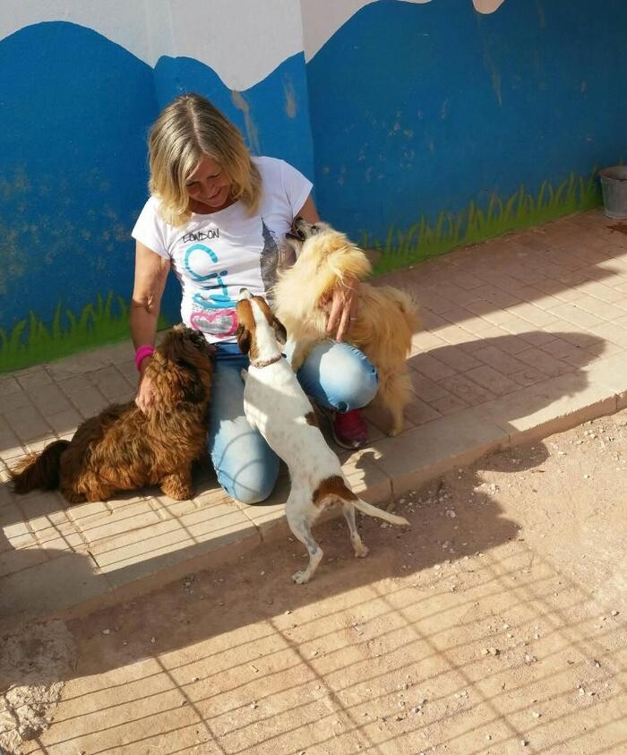 Images Hotel Canino y Felino El Rey de la Casa - cat & dog boarding kennels