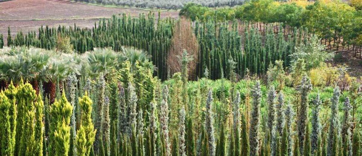 Images Fantastic Gardens