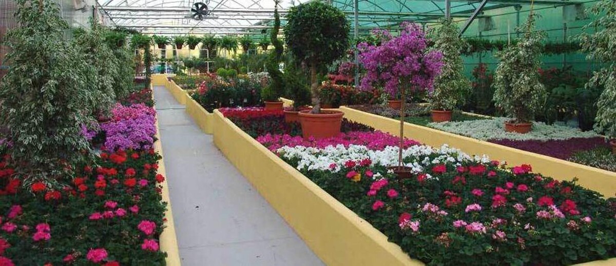 Images Fantastic Gardens