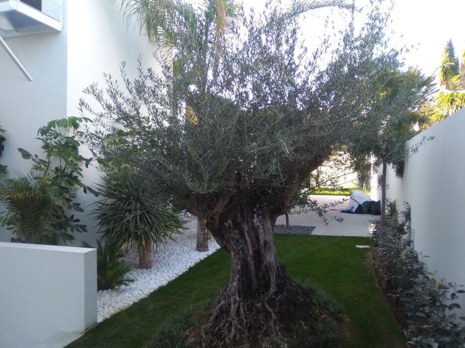Images Fantastic Gardens