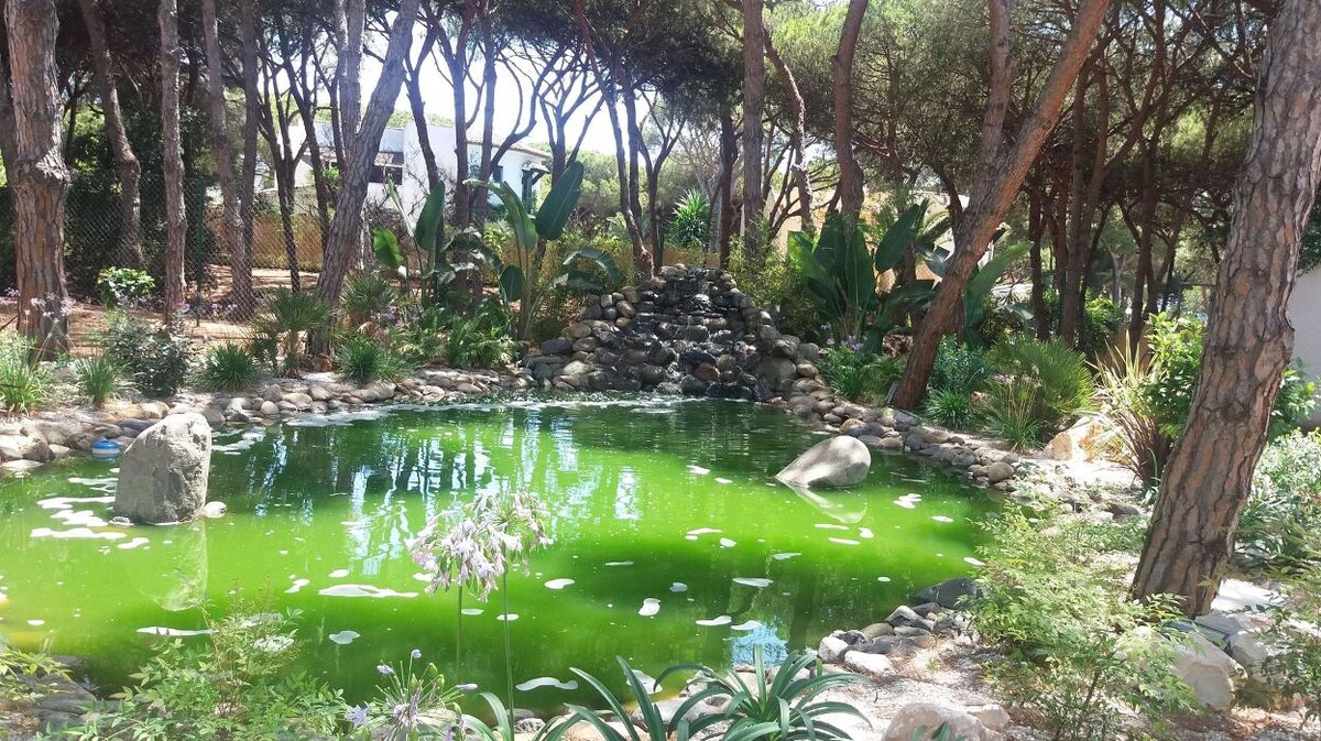 Images Fantastic Gardens