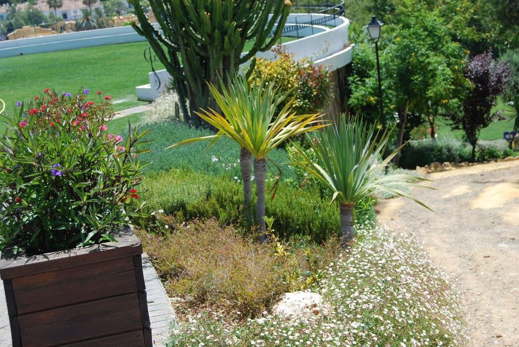 Images Fantastic Gardens