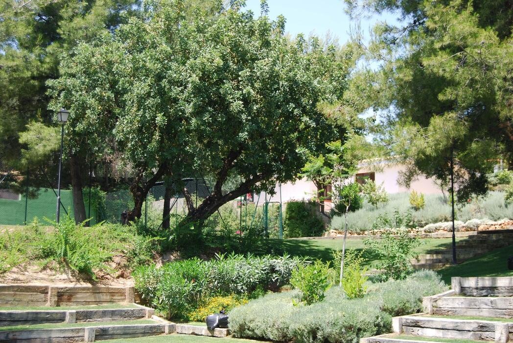 Images Fantastic Gardens