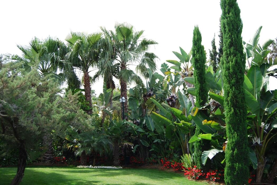 Images Fantastic Gardens
