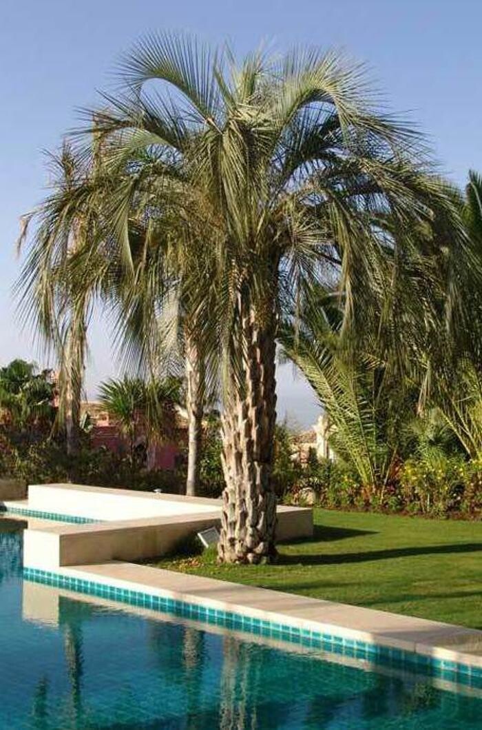 Images Fantastic Gardens