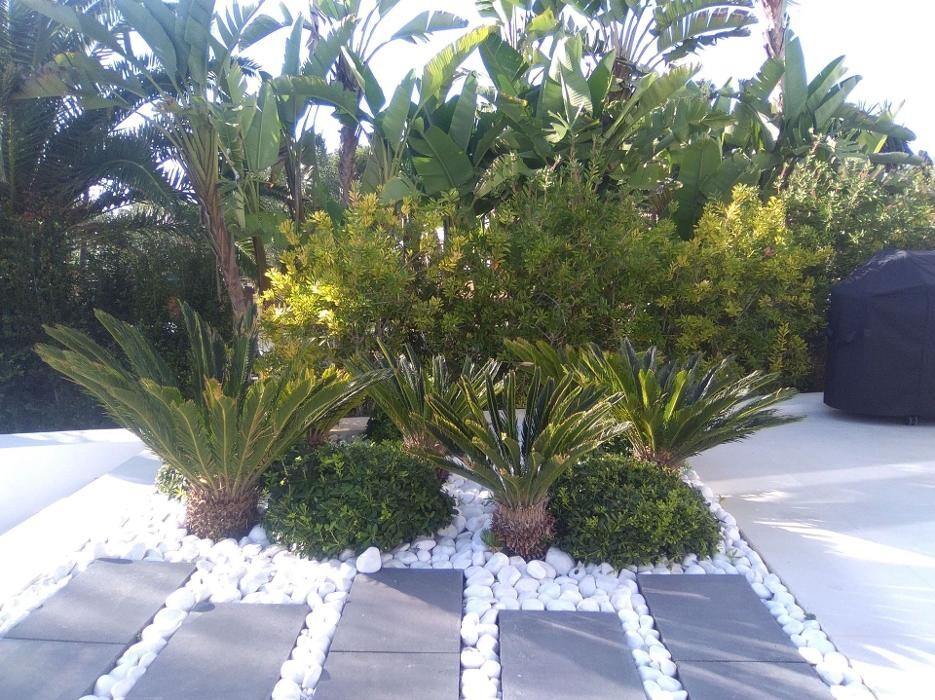 Images Fantastic Gardens