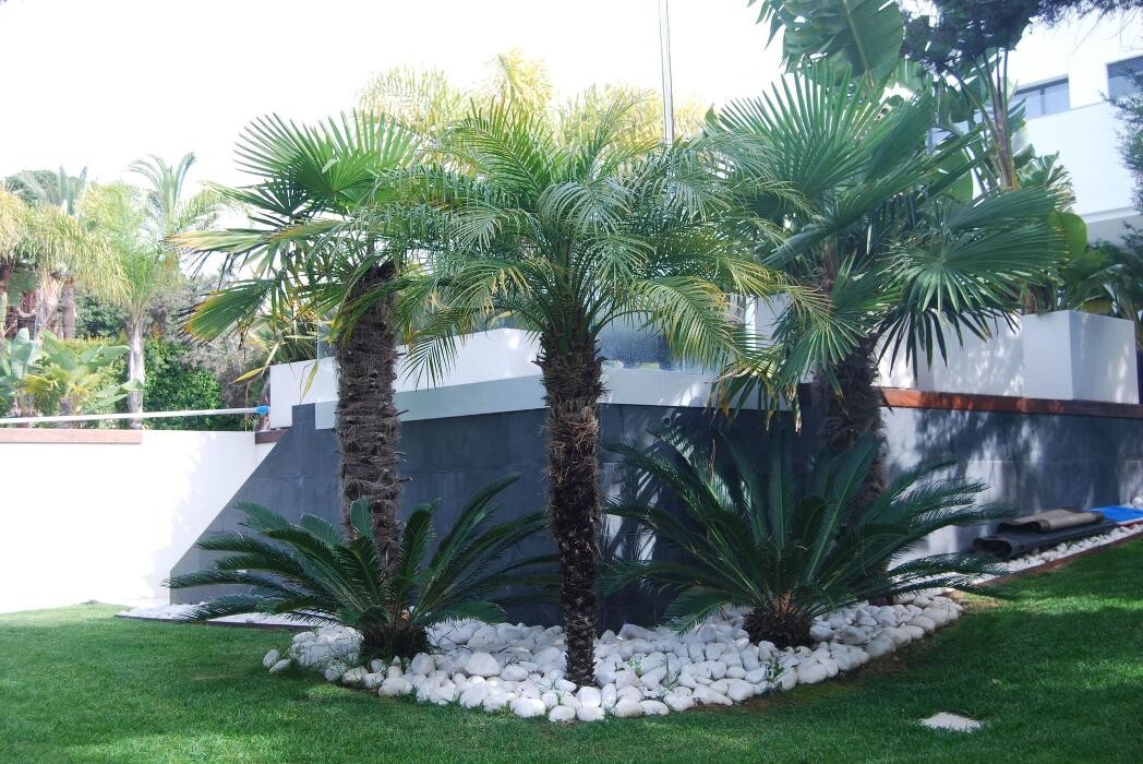 Images Fantastic Gardens