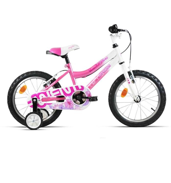 Images Bici + Fácil