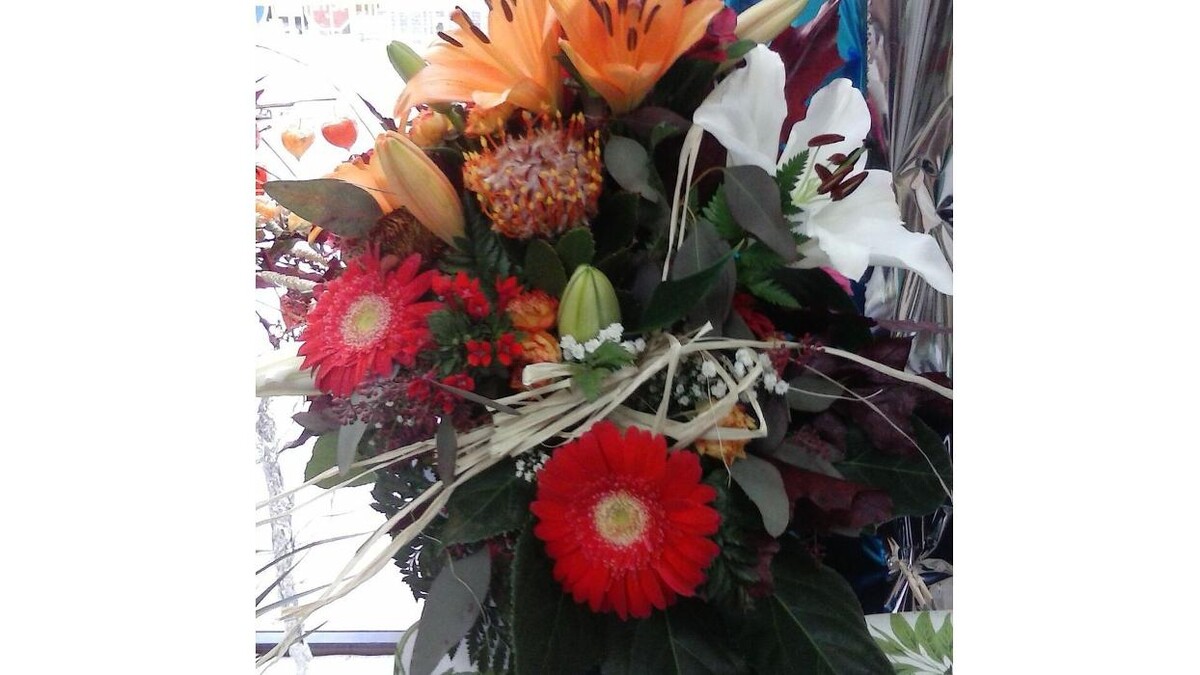 Images Artemisa Flores