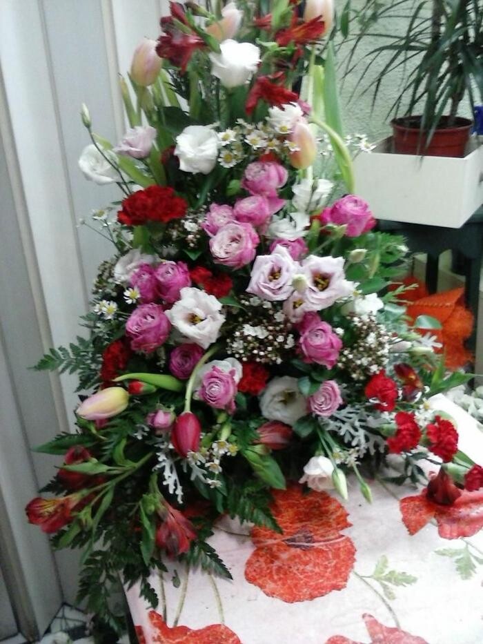 Images Artemisa Flores