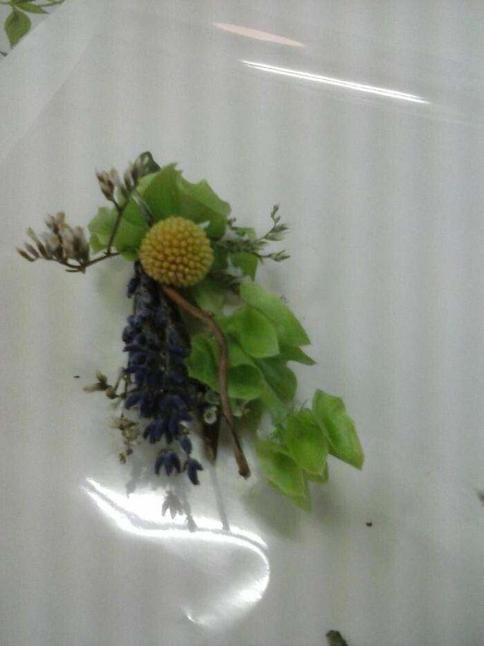 Images Artemisa Flores