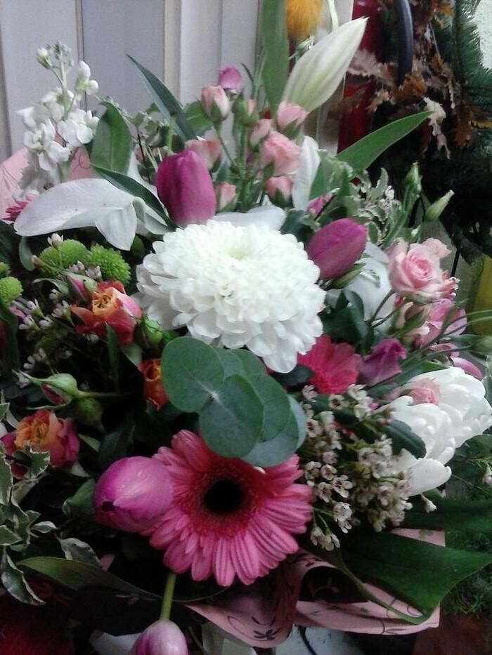 Images Artemisa Flores