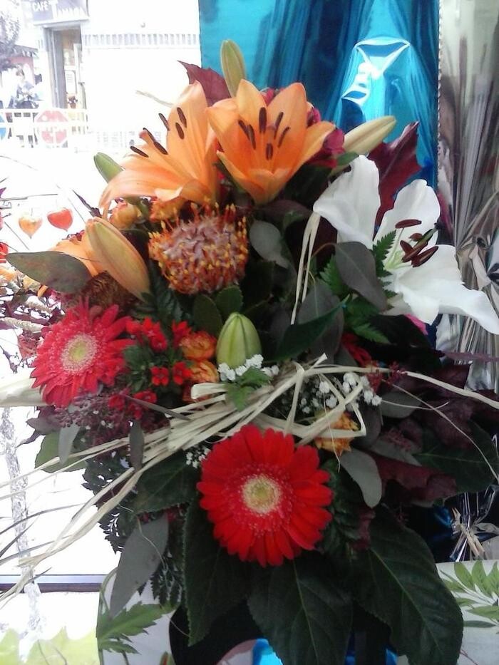 Images Artemisa Flores