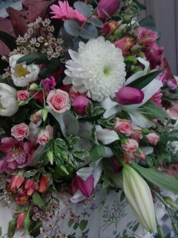 Images Artemisa Flores