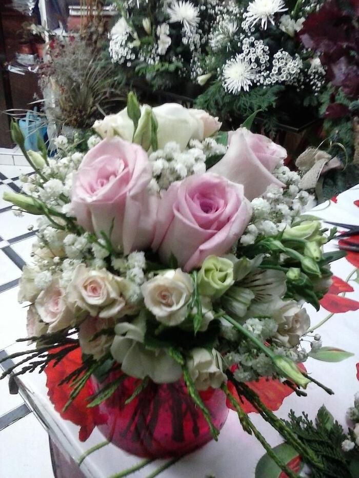 Images Artemisa Flores