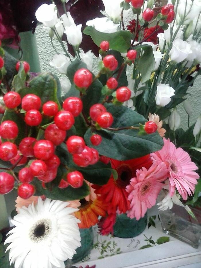 Images Artemisa Flores