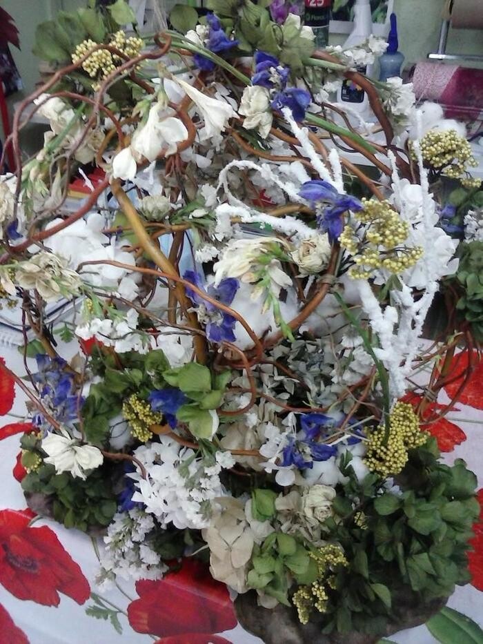 Images Artemisa Flores