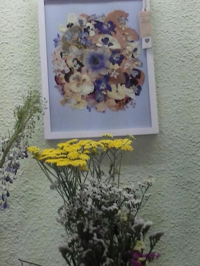 Images Artemisa Flores