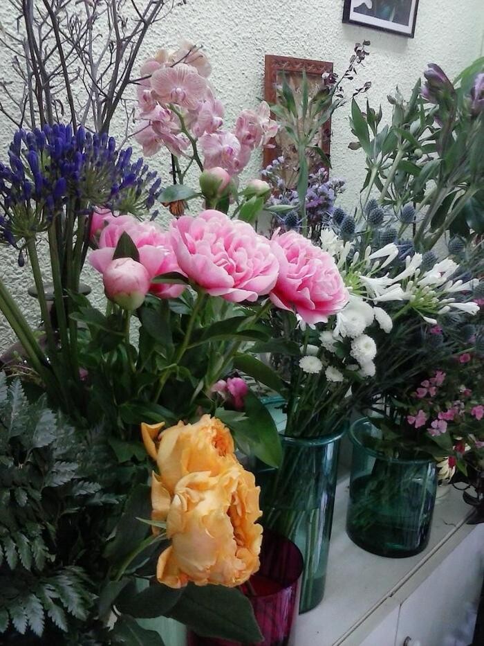 Images Artemisa Flores