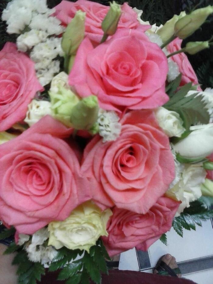 Images Artemisa Flores