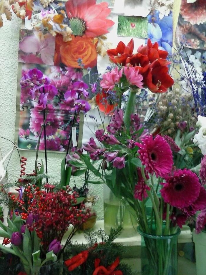 Images Artemisa Flores