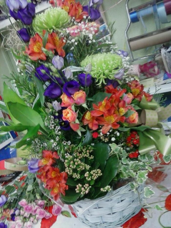 Images Artemisa Flores