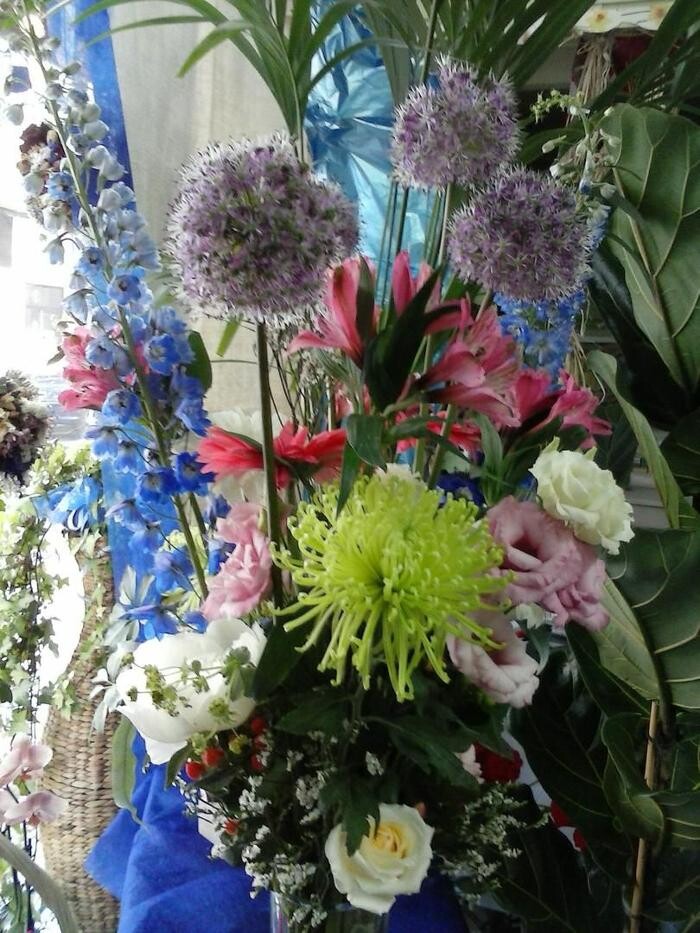 Images Artemisa Flores