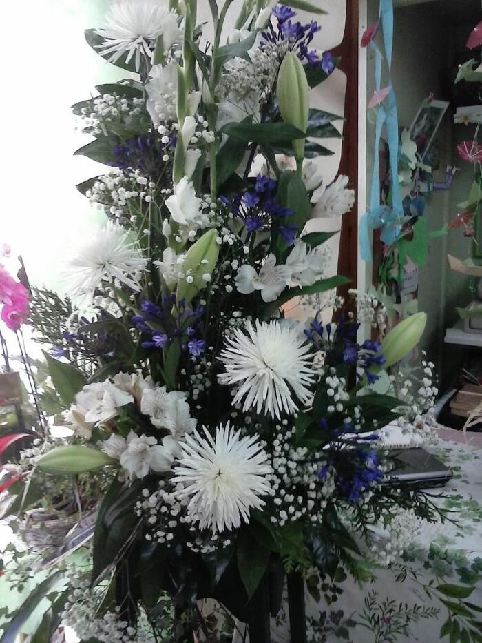 Images Artemisa Flores