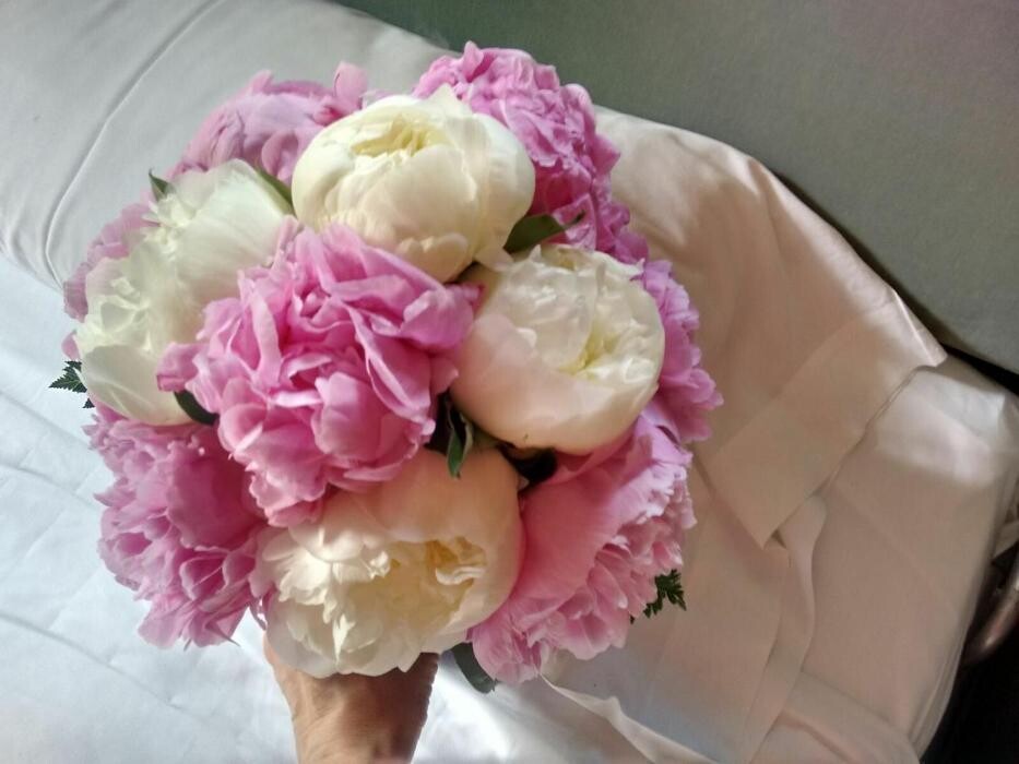 Images Artemisa Flores