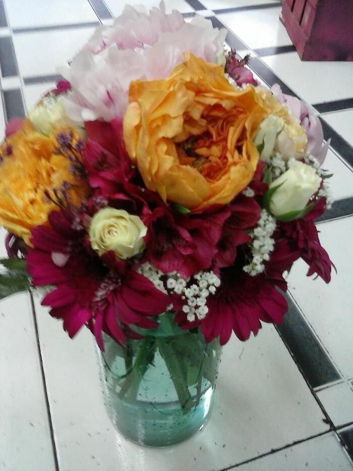 Images Artemisa Flores