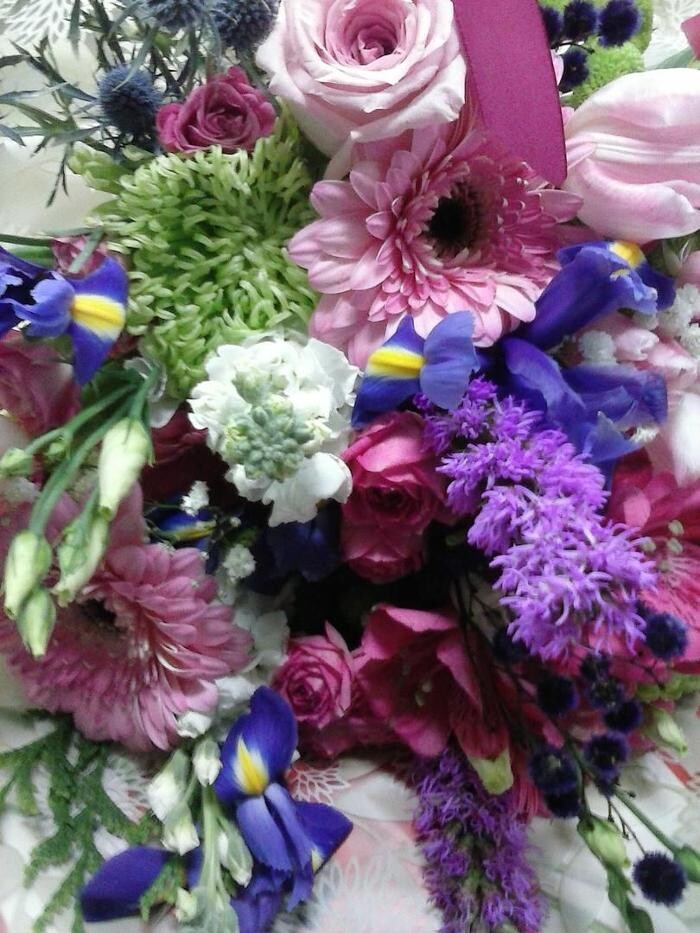 Images Artemisa Flores