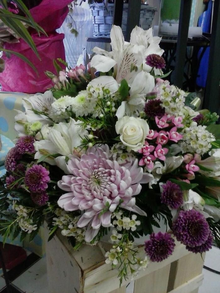 Images Artemisa Flores